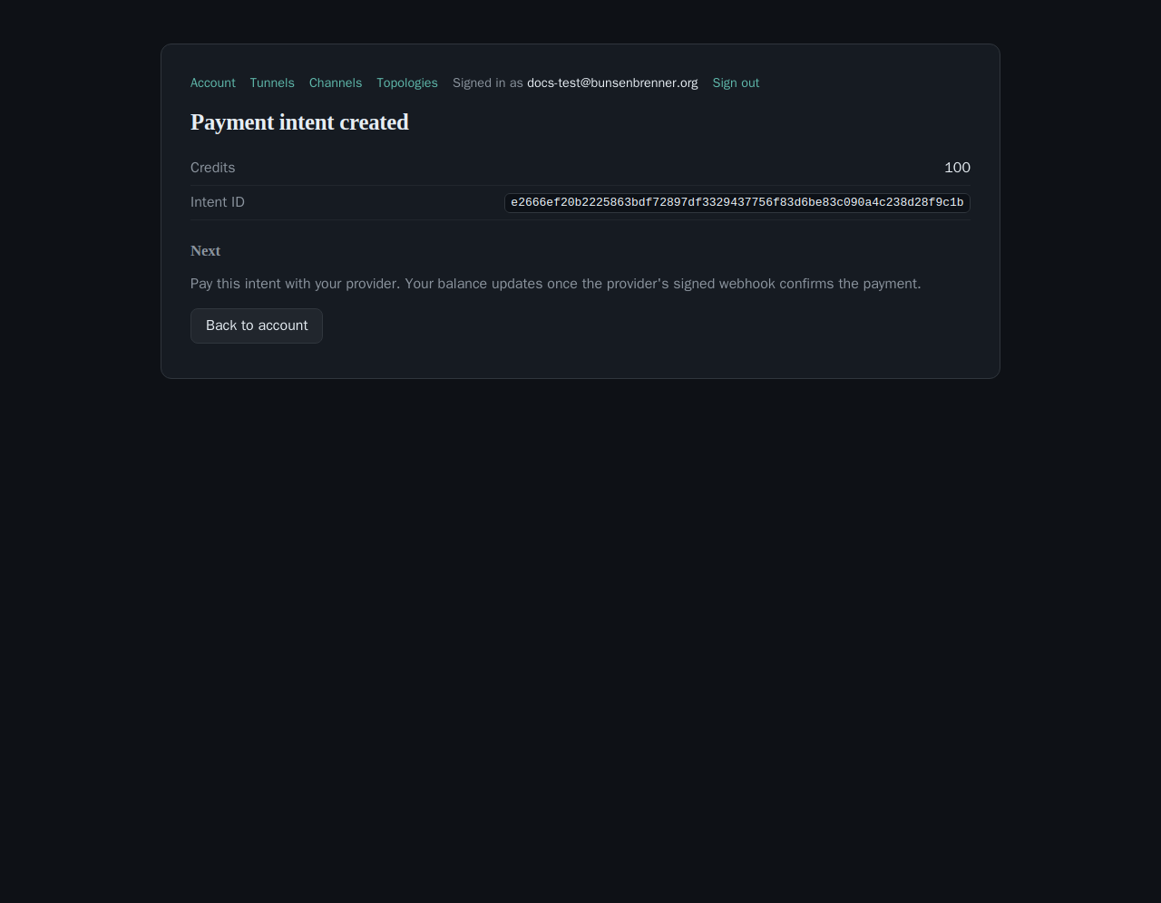 The portal's 'Payment intent created' confirmation page: Credits 100, an Intent ID, and text explaining the balance updates once the provider's signed webhook confirms the payment.